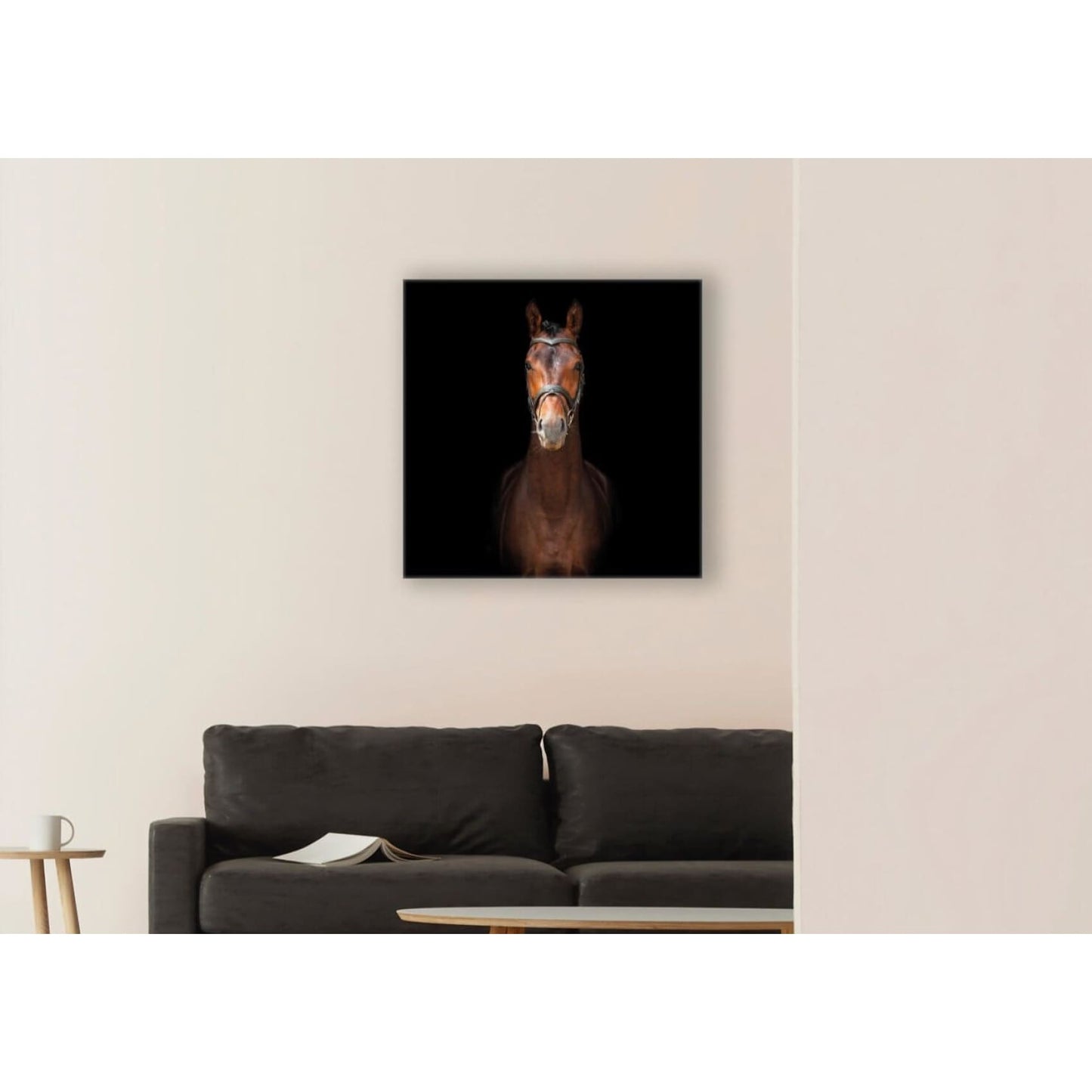 cuadro decorativo, decoración, sala, estudio, habitación, animal, caballo