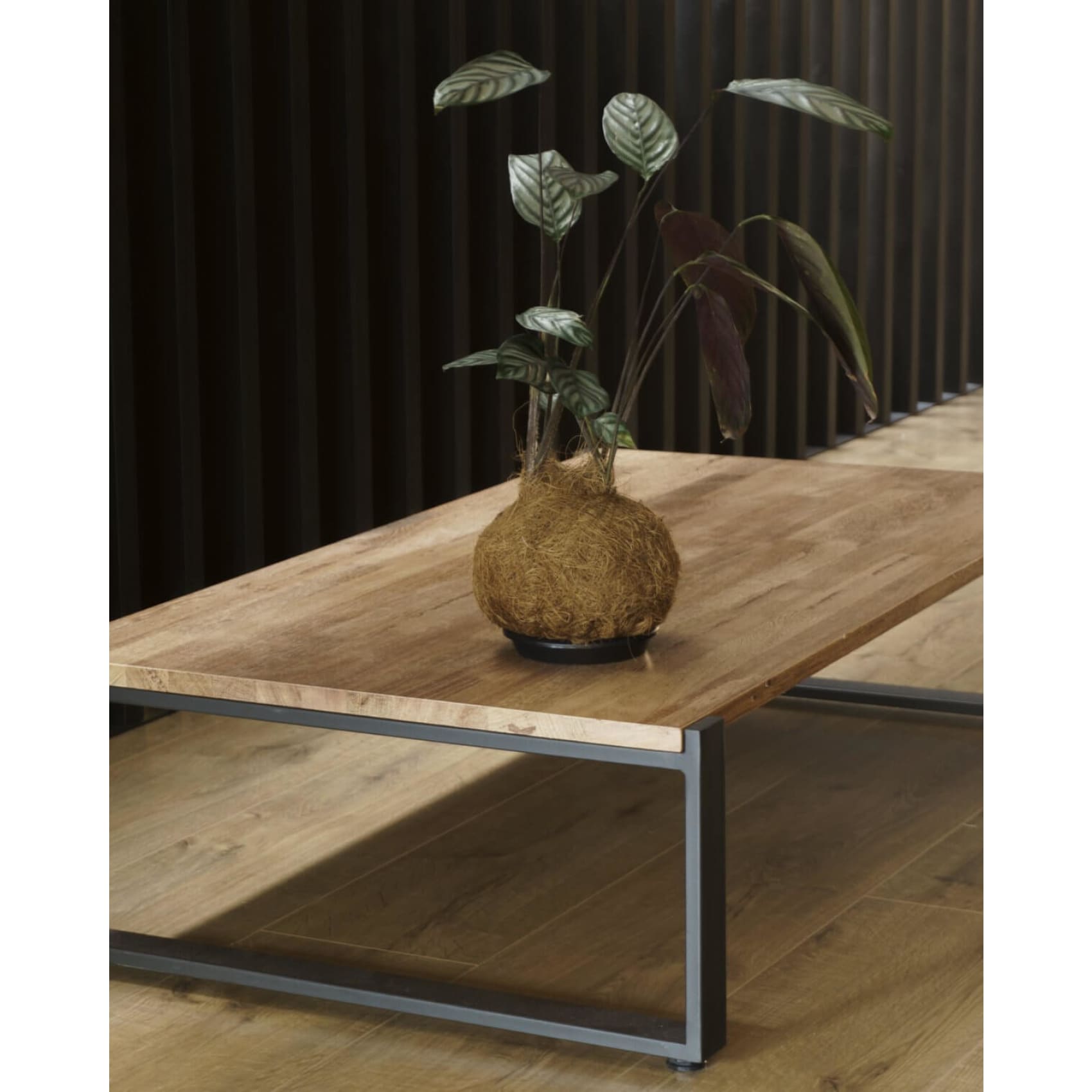 Mesa de centro, sala, estudio, madera. 